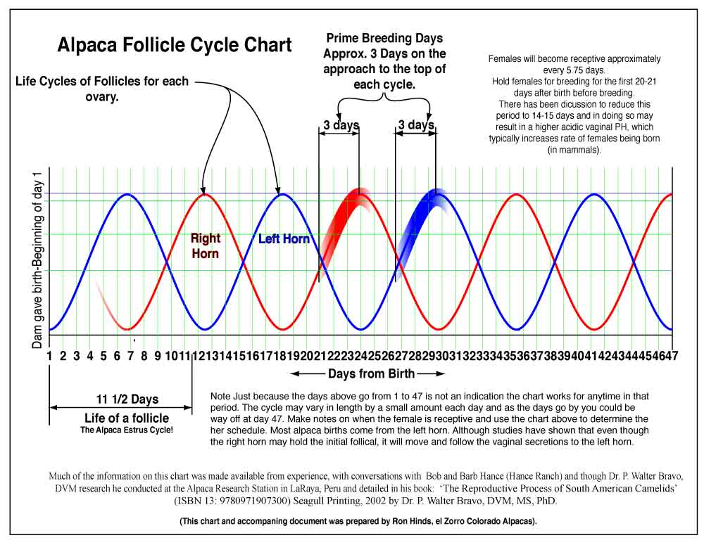 folicile-chart.jpg